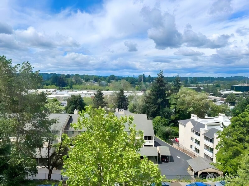 3819 130th Lane SE Bellevue WA 98006