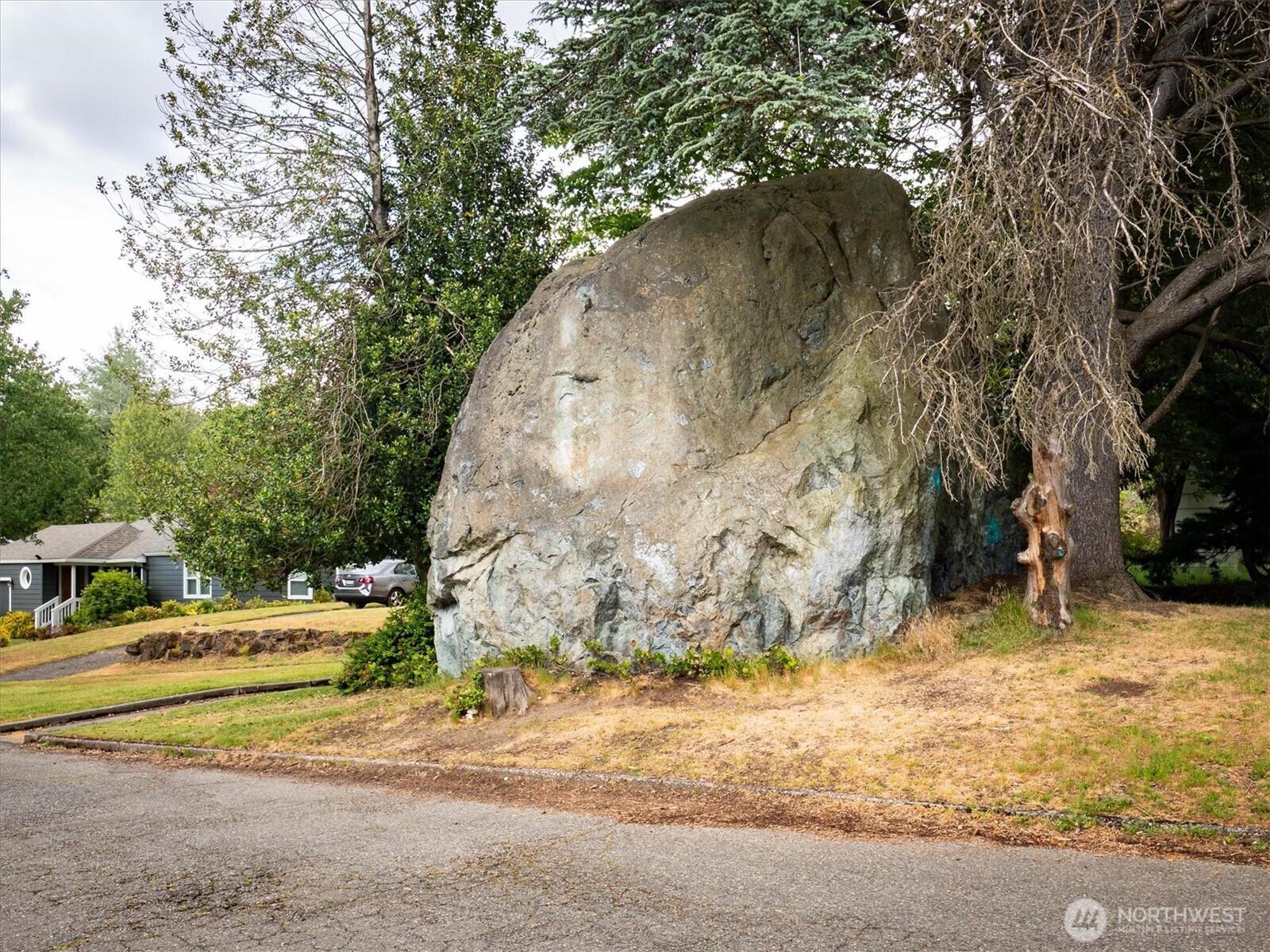 7264 27th Avenue NE Seattle WA 98115