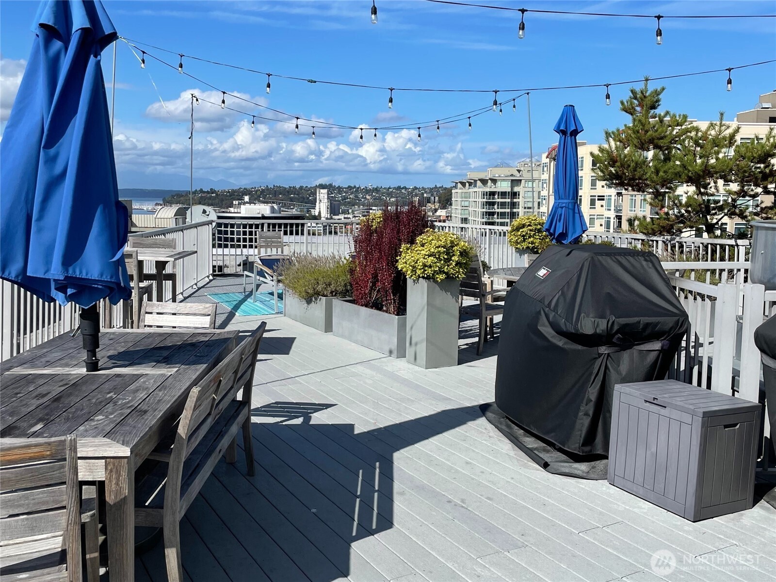 76 Cedar Street Seattle WA 98121