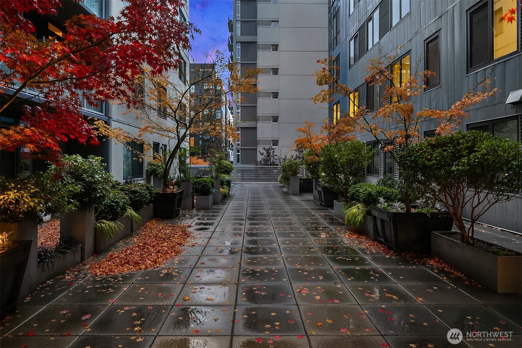 76 Cedar Street Seattle WA 98121
