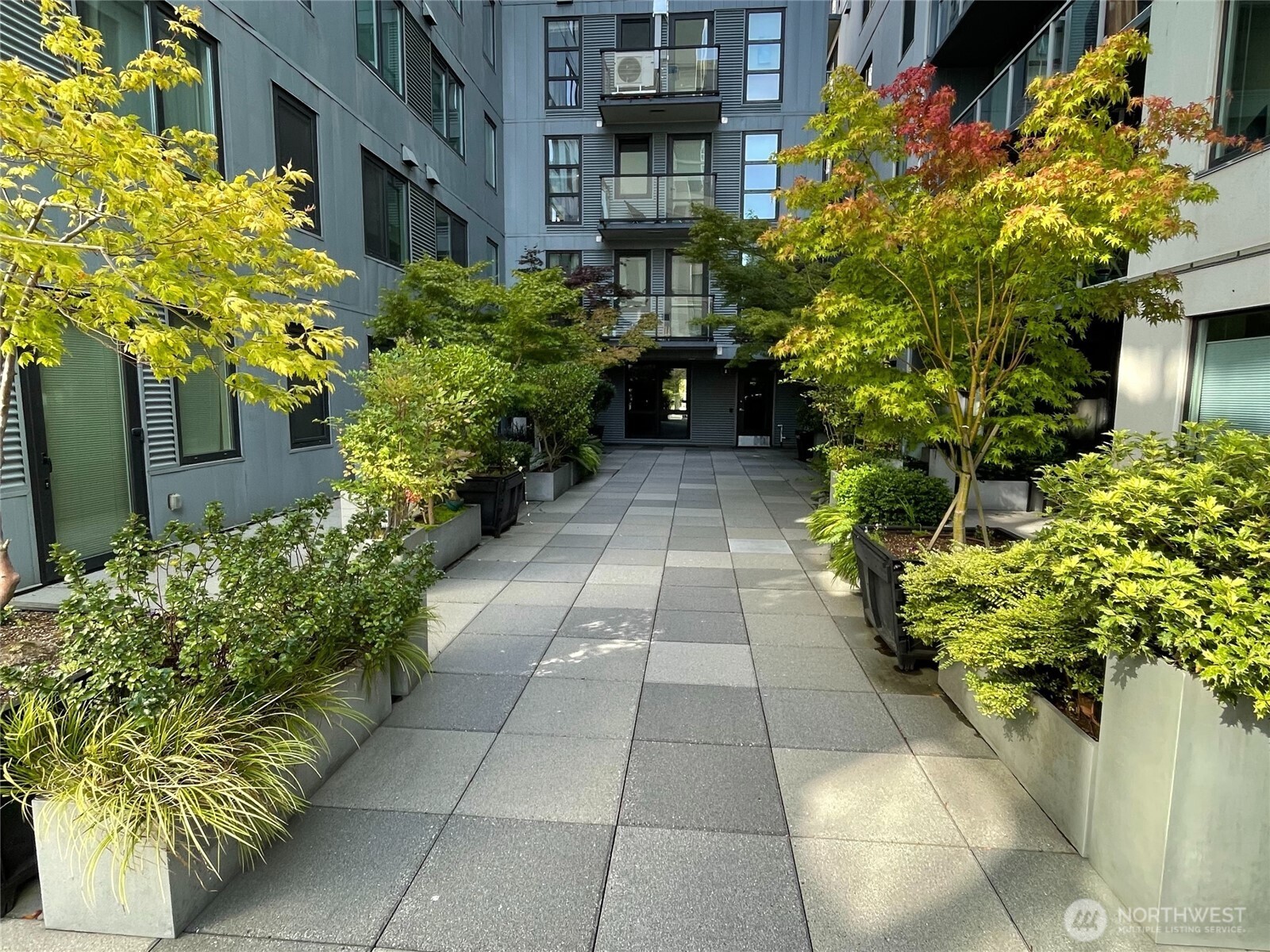 76 Cedar Street Seattle WA 98121