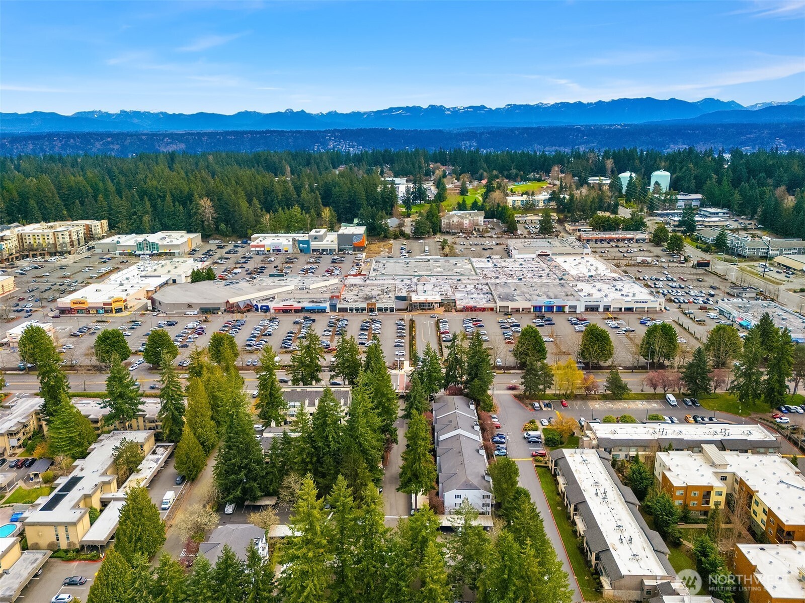 1007 156th Avenue NE Bellevue WA 98007