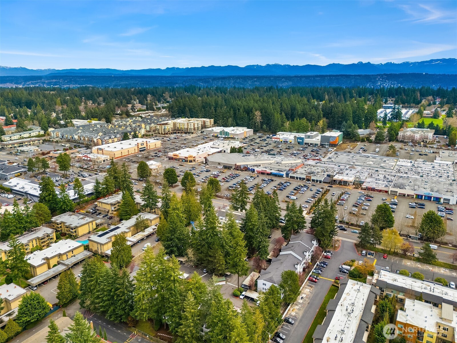 1007 156th Avenue NE Bellevue WA 98007