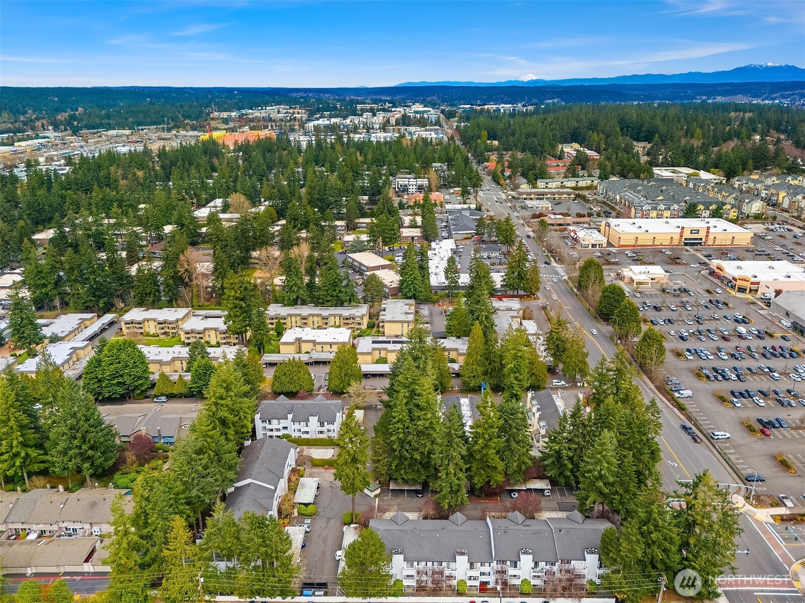 1007 156th Avenue NE Bellevue WA 98007