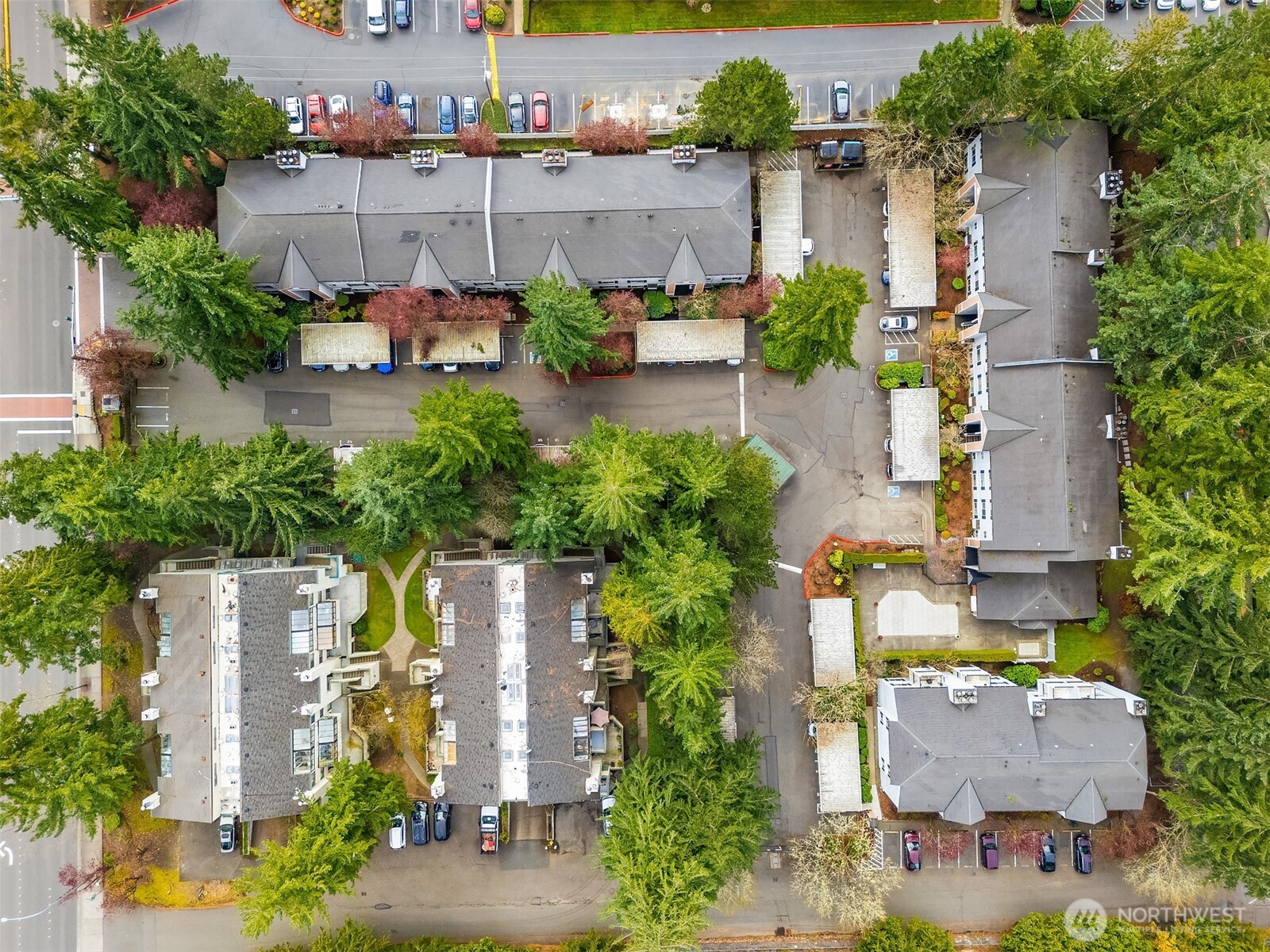 1007 156th Avenue NE Bellevue WA 98007