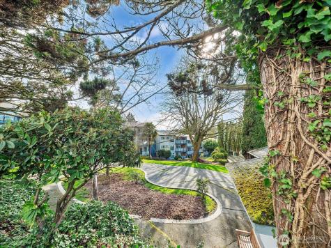 15146 65th Avenue S Tukwila WA 98188