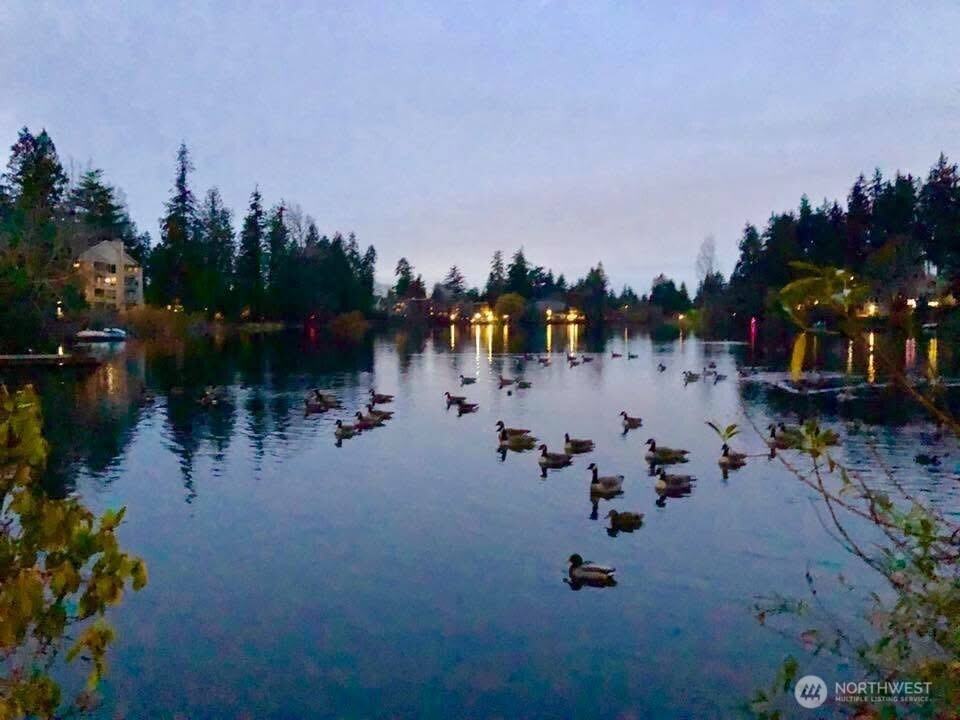 19414 Aurora Avenue N Shoreline WA 98133
