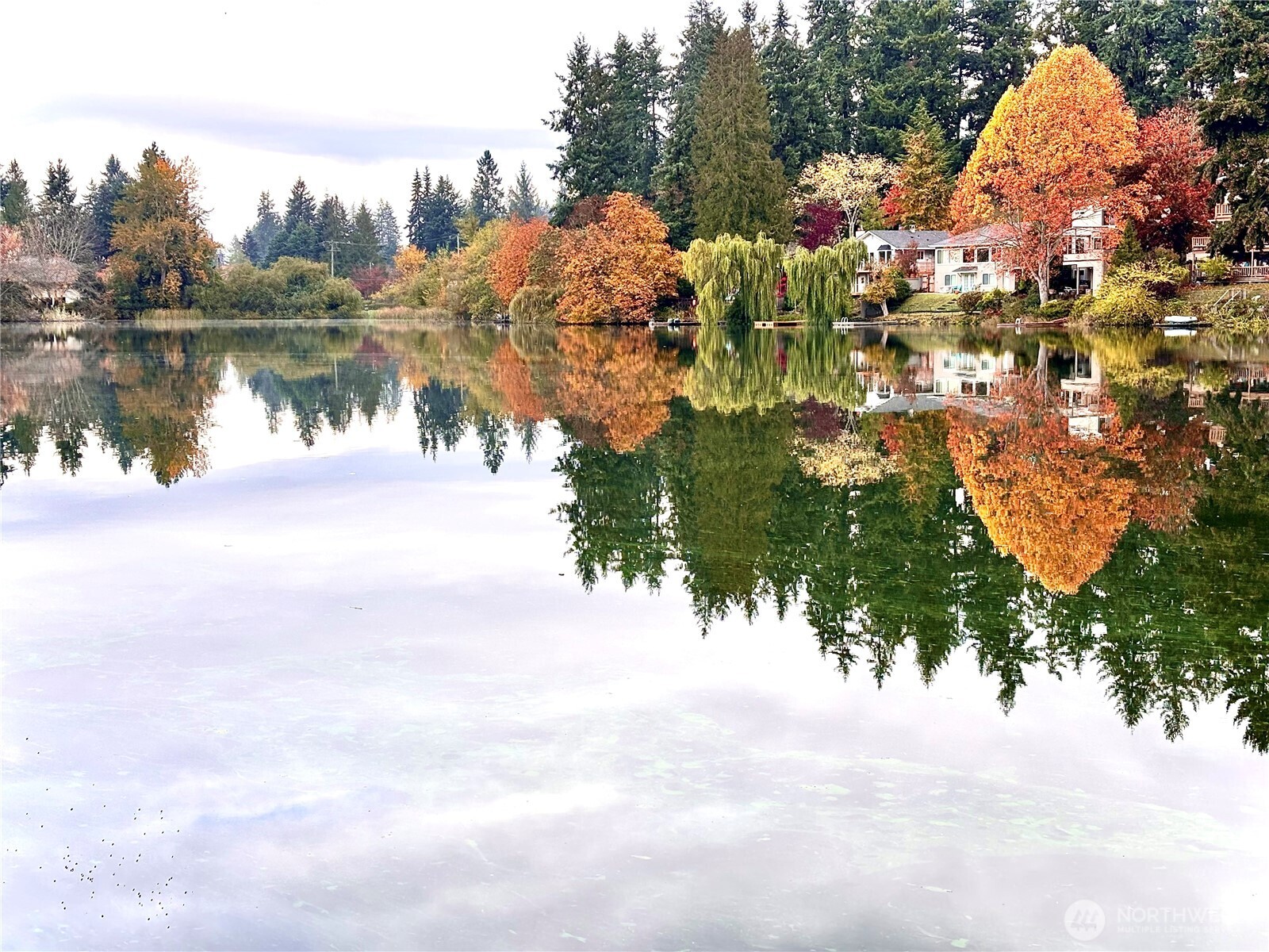 19414 Aurora Avenue N Shoreline WA 98133