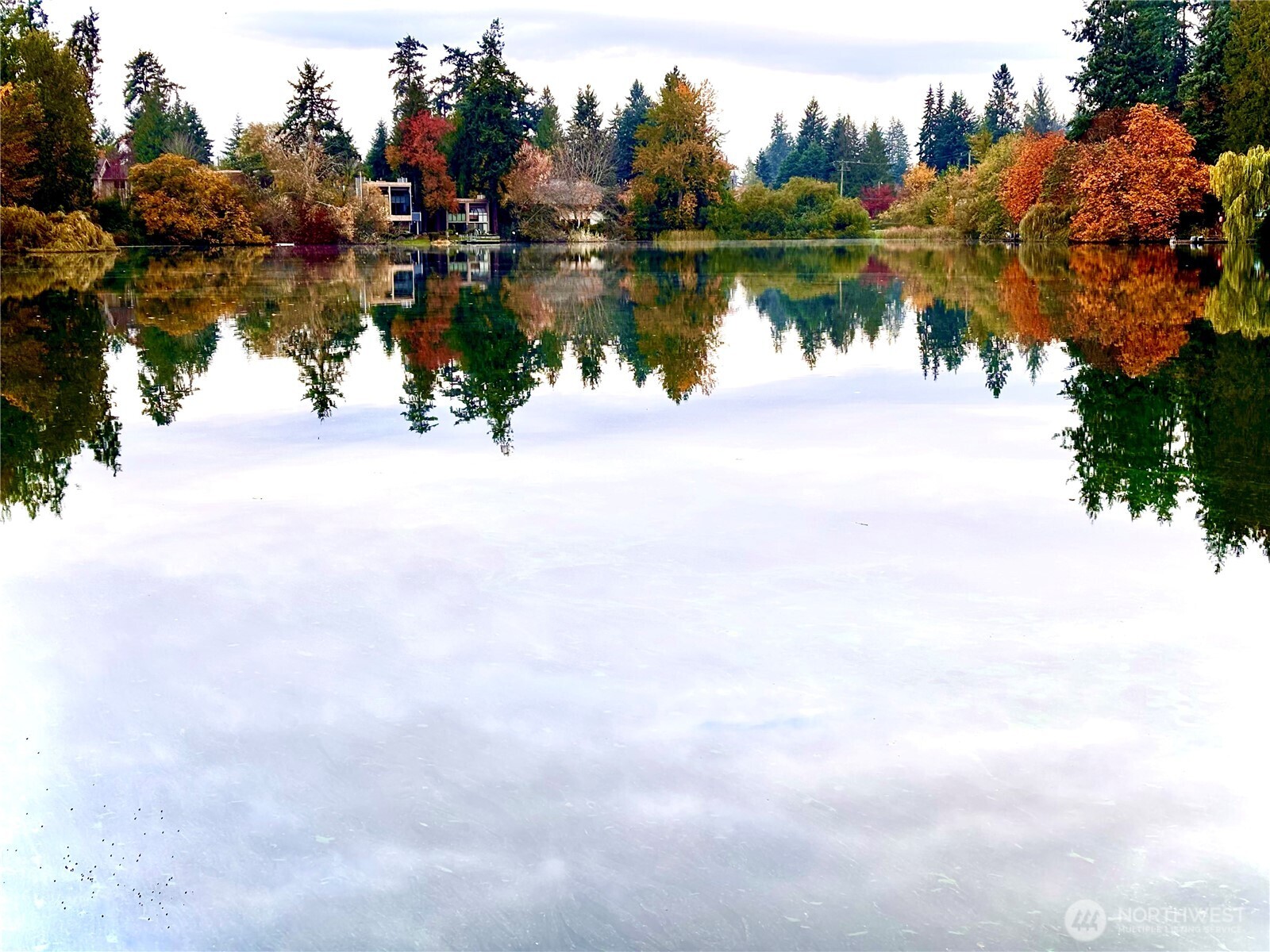 19414 Aurora Avenue N Shoreline WA 98133