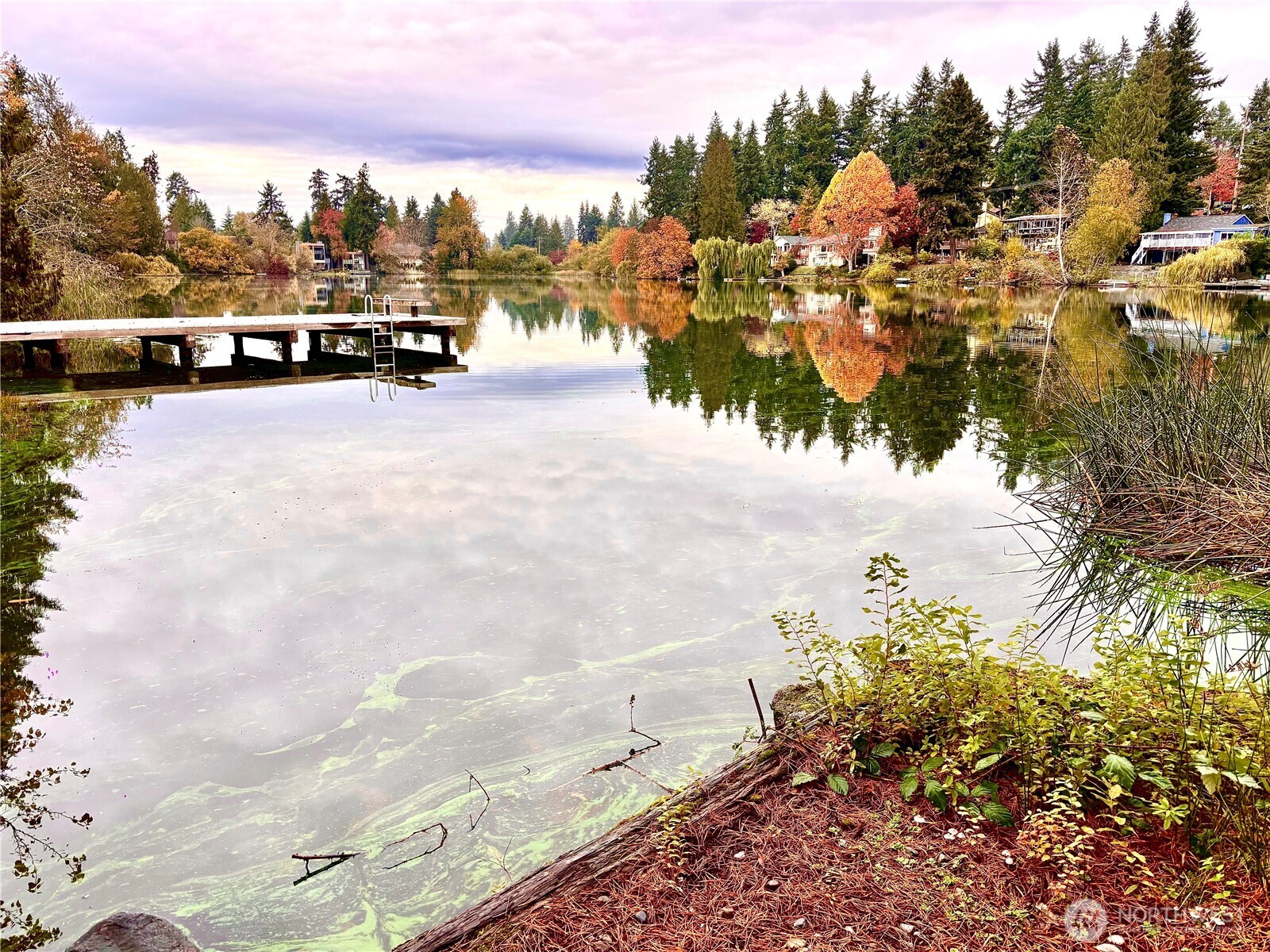 19414 Aurora Avenue N Shoreline WA 98133