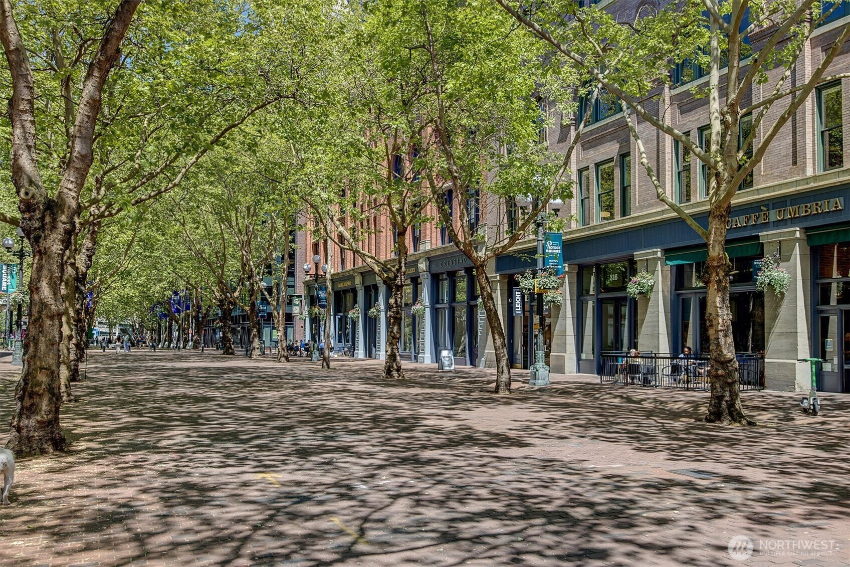 121 S Jackson Street Seattle WA 98104
