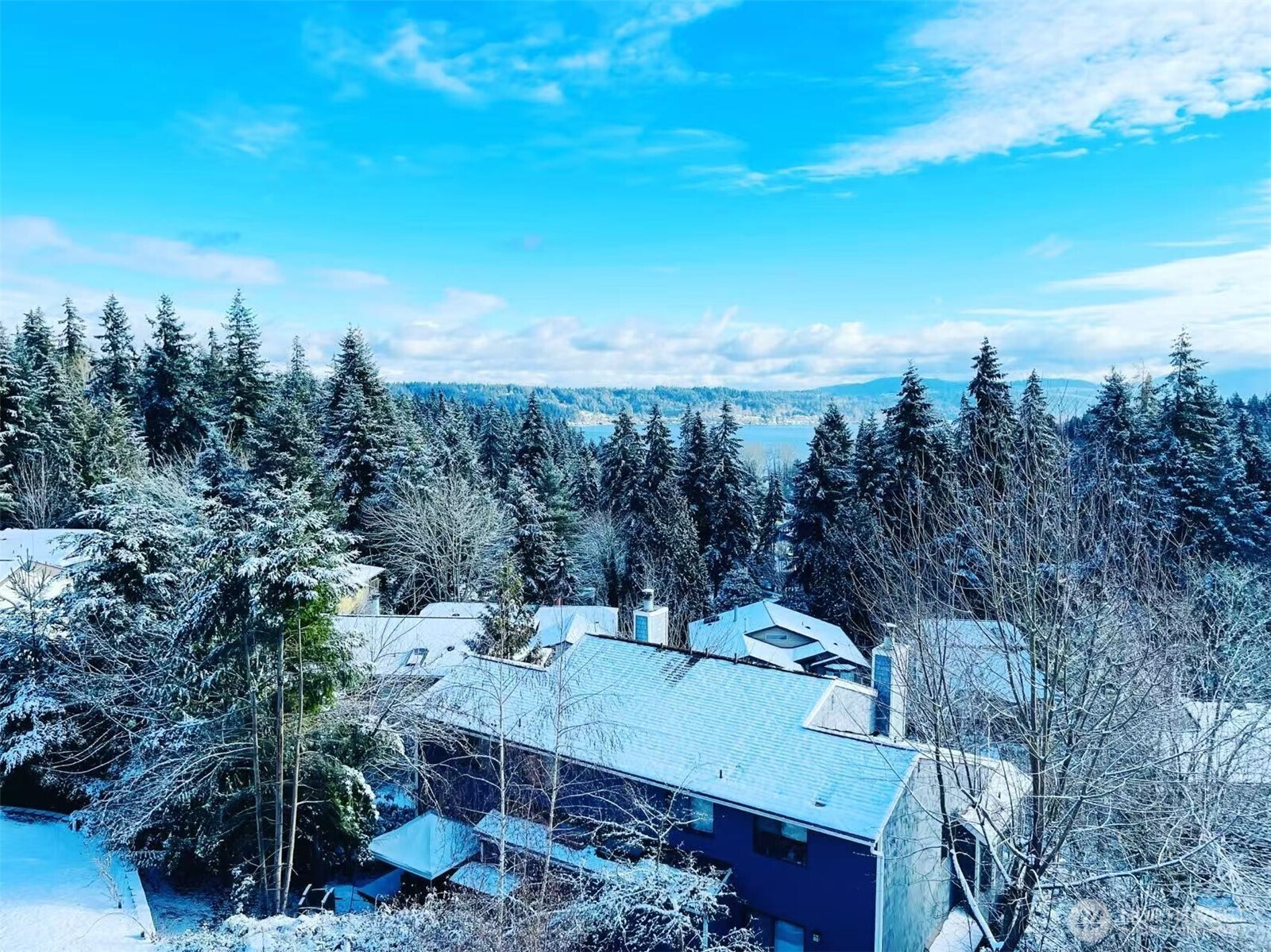 3416 161st Court SE Bellevue WA 98008