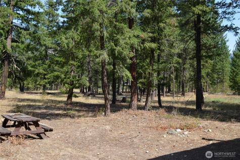 17798 Highway 20 Mazama WA 98833