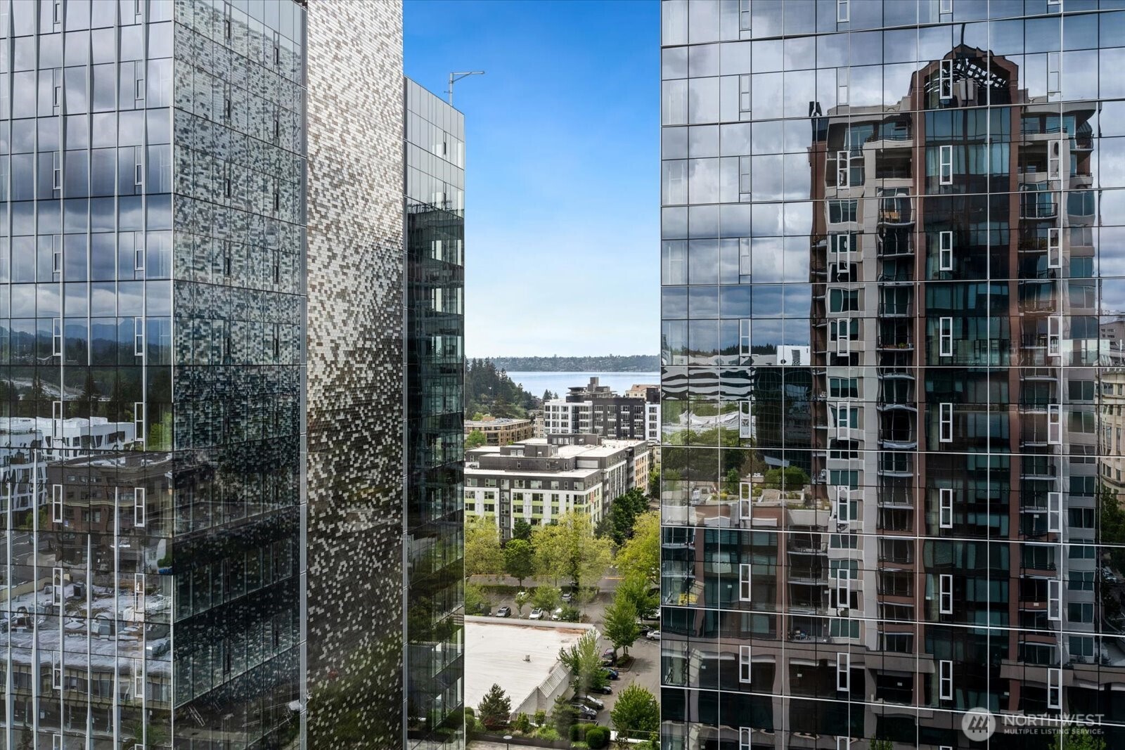 177 107th Avenue NE Bellevue WA 98004