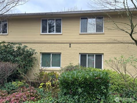 4717 Terrace Drive NE Seattle WA 98105