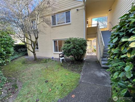4717 Terrace Drive NE Seattle WA 98105