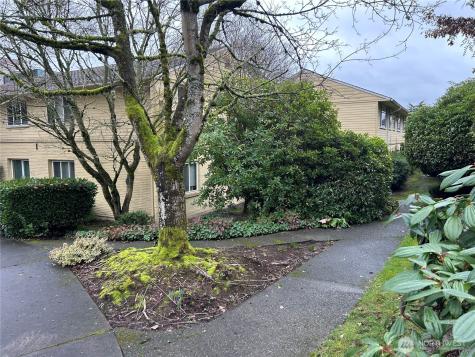 4717 Terrace Drive NE Seattle WA 98105
