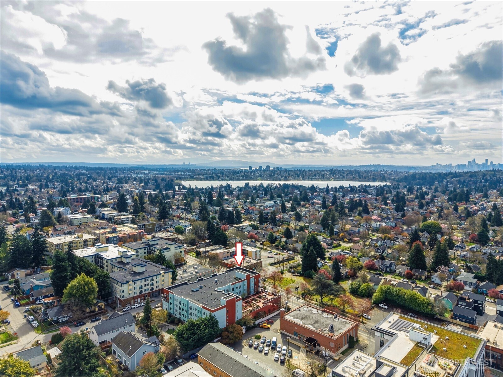424 N 85th Street Seattle WA 98103