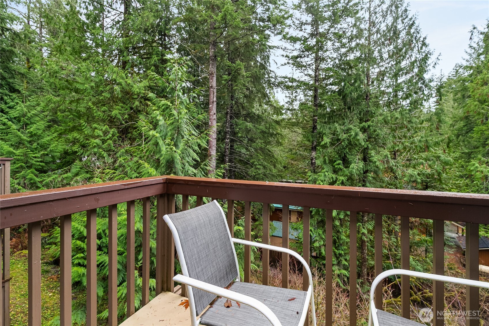 10500 Mt Baker Highway Deming WA 98244