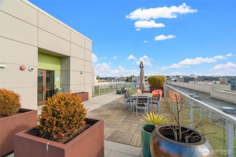1760 NW 56th Street Seattle WA 98107