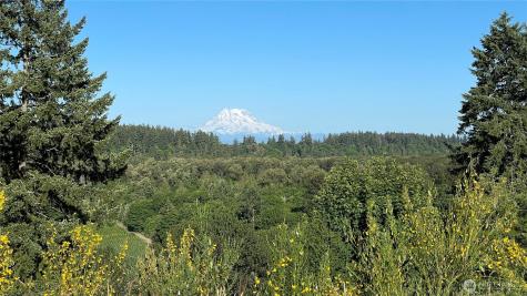 1546 Reservation Road SE Olympia WA 98513