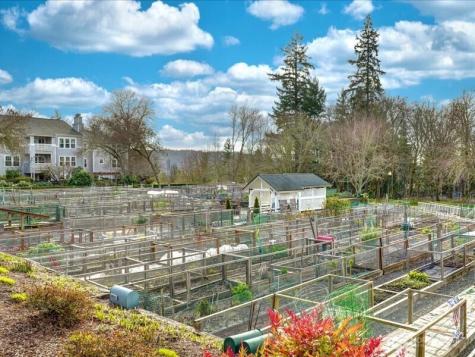 22527 SE 38th Terrace Issaquah WA 98029