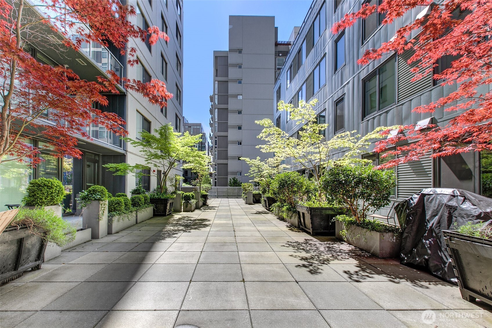 76 Cedar Street Seattle WA 98121