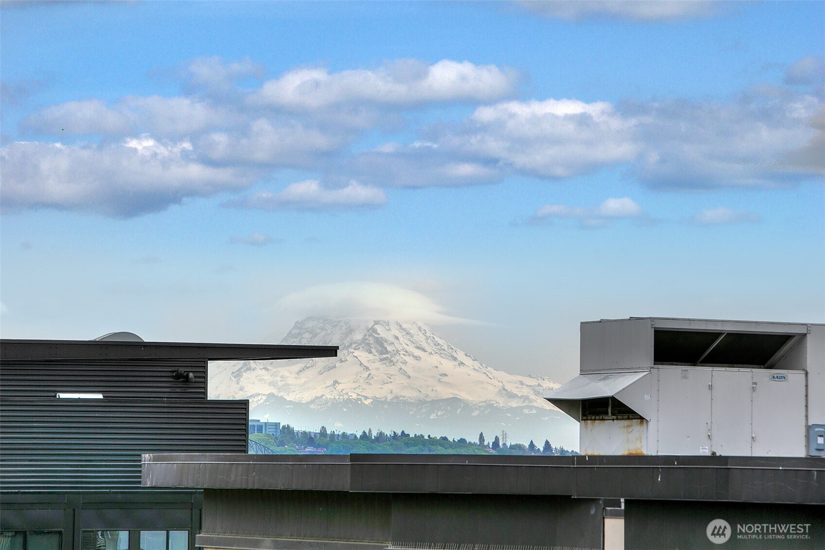 76 Cedar Street Seattle WA 98121