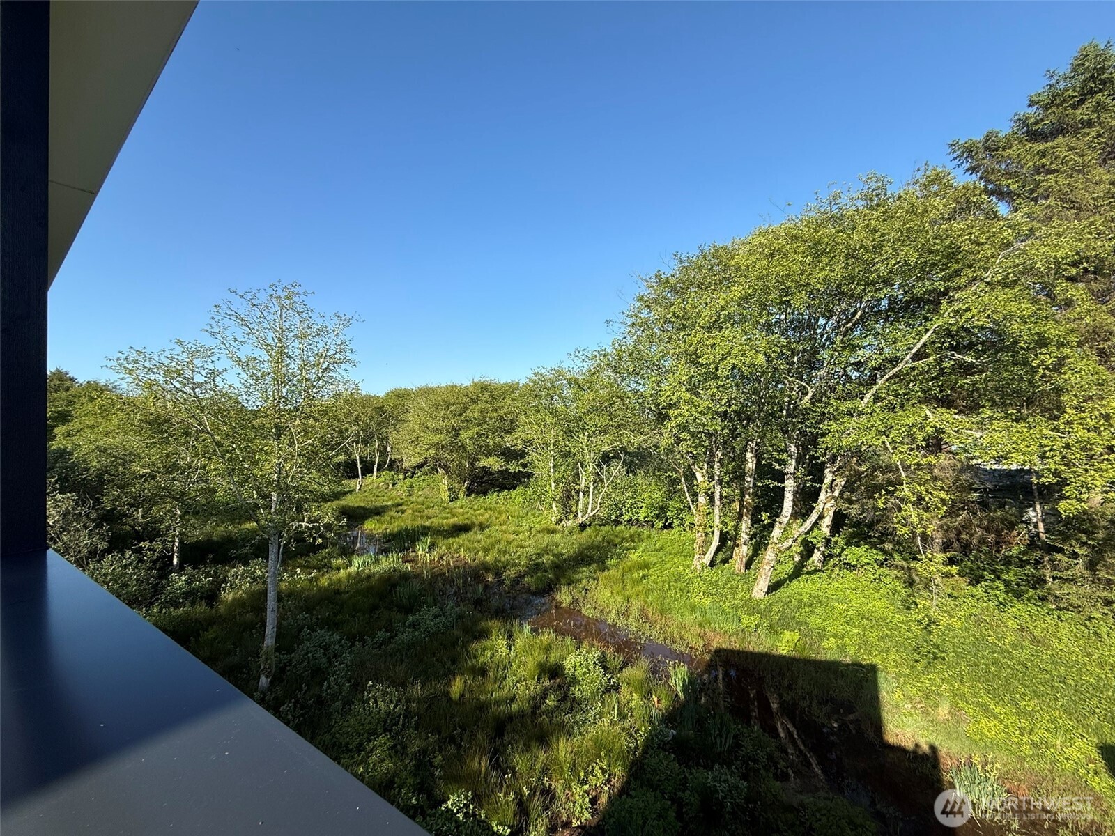 890 Magellan Avenue NE Ocean Shores WA 98569