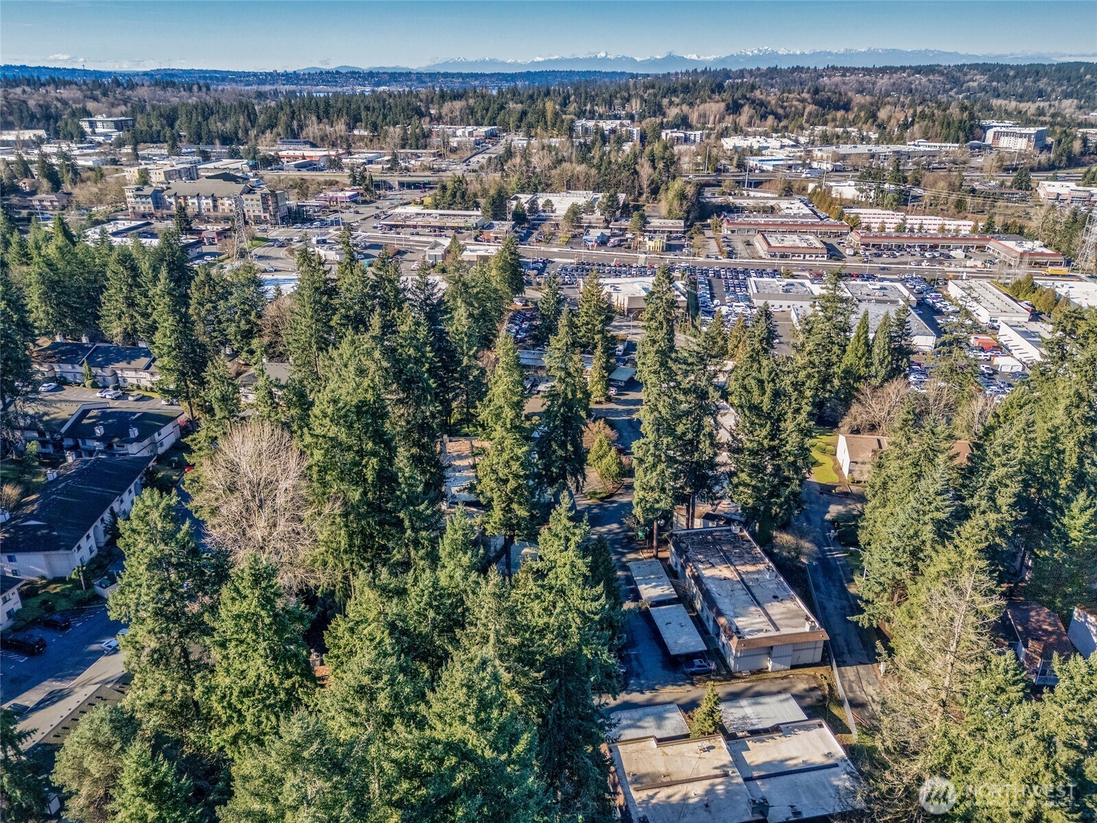 12528 NE 117th Place Kirkland WA 98034