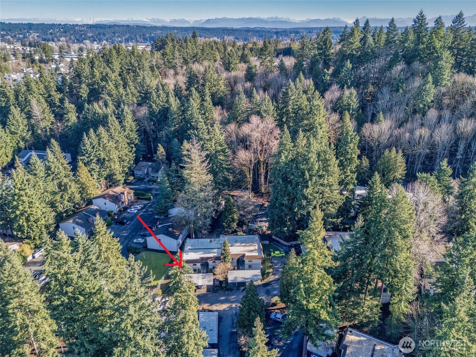 12528 NE 117th Place Kirkland WA 98034