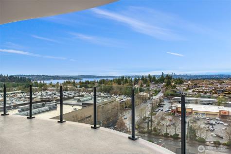 838 Avenue Square NE Bellevue WA 98004