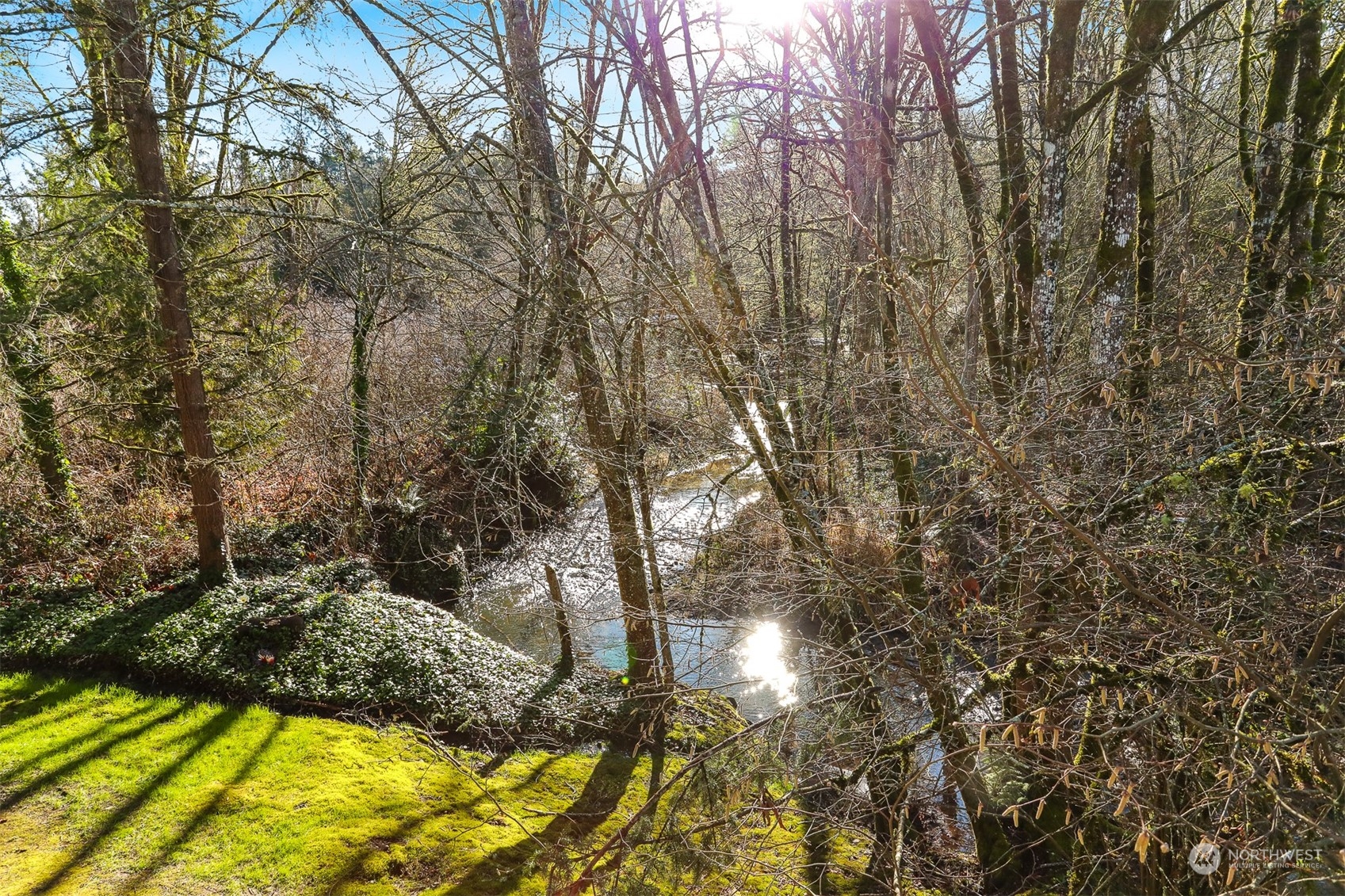 4519 125th Avenue SE Bellevue WA 98006
