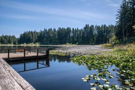 4486 248th Lane SE Sammamish WA 98029