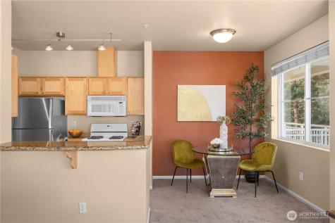 503 225th Lane NE Sammamish WA 98074