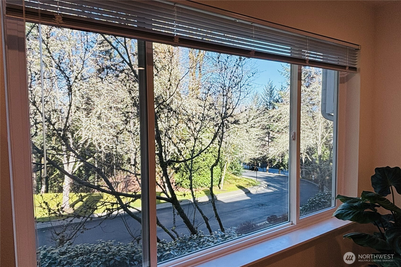 5000 NW Village Park Drive Issaquah WA 98027