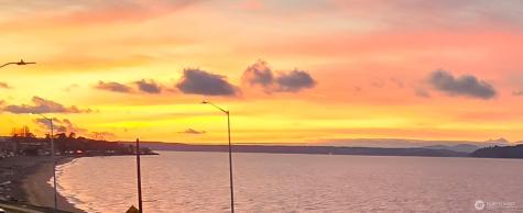 2200 Alki Avenue SW Seattle WA 98116