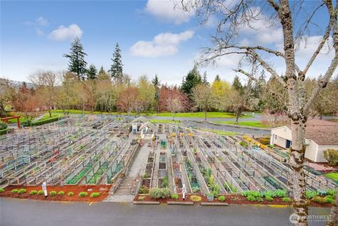 22454 SE 37th Terrace Issaquah WA 98029