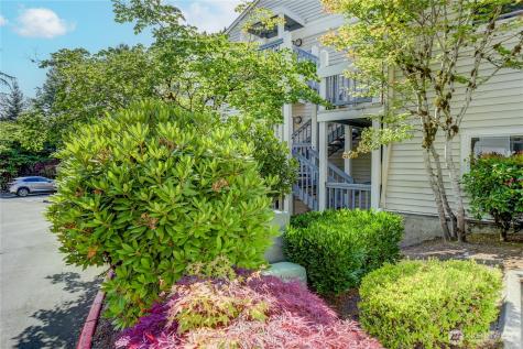 2969 142nd Place SE Bellevue WA 98007