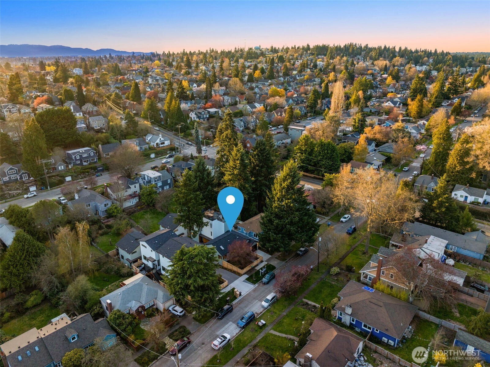 7341 21st Avenue NE Seattle WA 98115