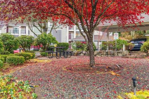 5000 NW Village Park Drive Issaquah WA 98027