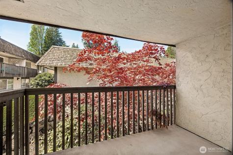 6107 204th Street SW Lynnwood WA 98036