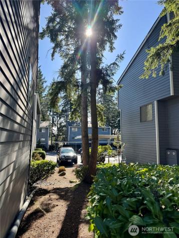 3015 127th Place SE Bellevue WA 98005