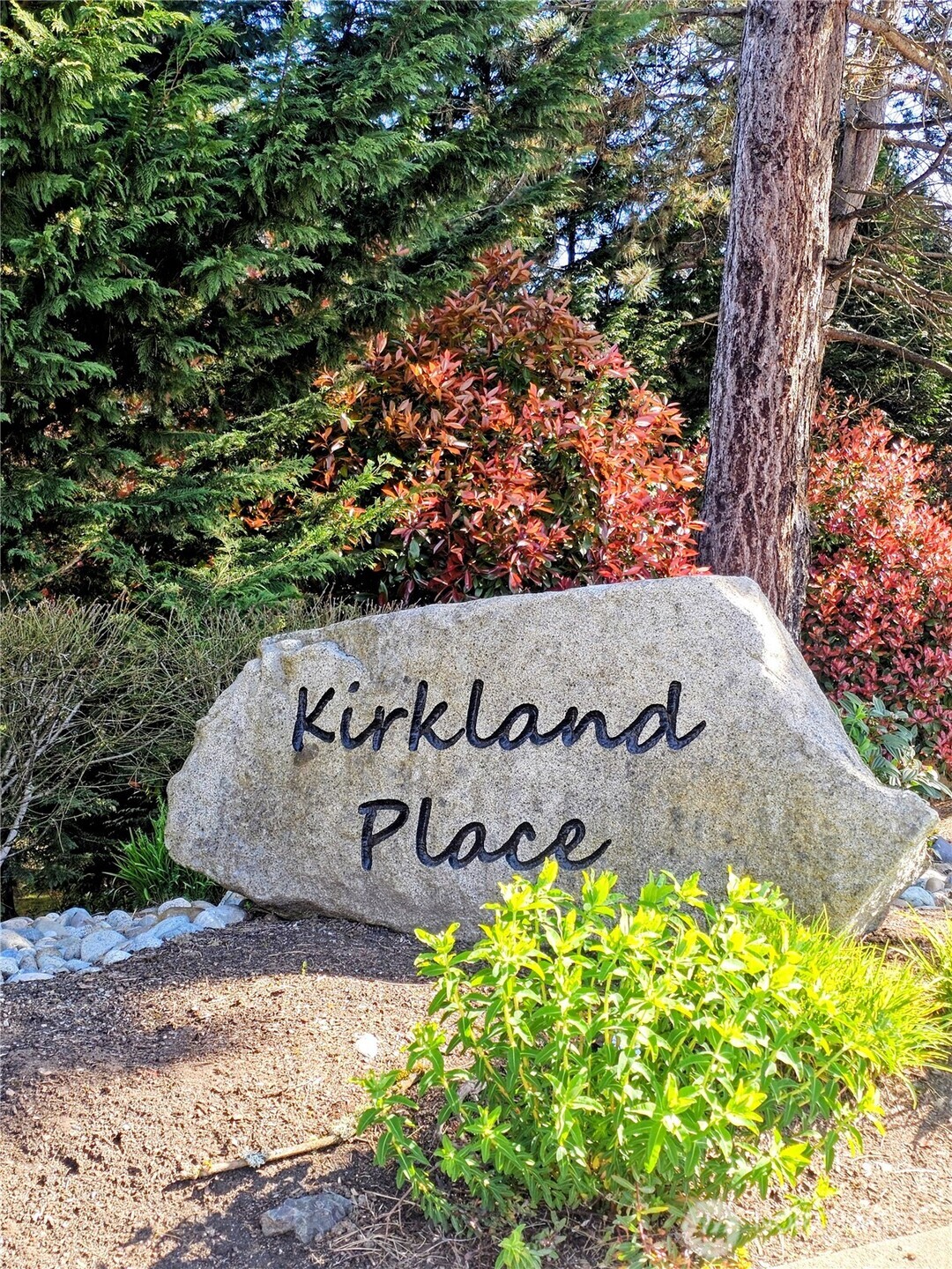 11114 NE 125th Lane Kirkland WA 98034