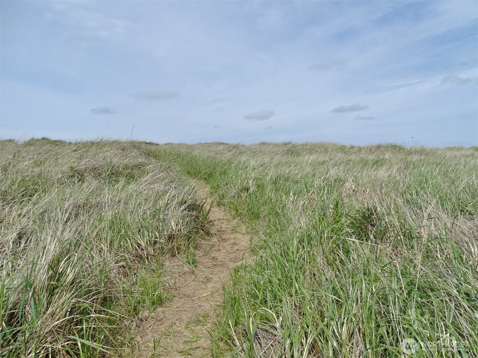 1307 Ocean Shores Boulevard SW Ocean Shores WA 98569
