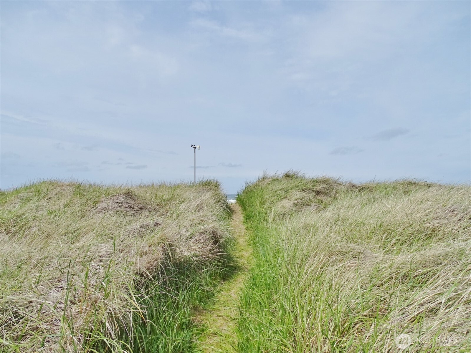 1307 Ocean Shores Boulevard SW Ocean Shores WA 98569