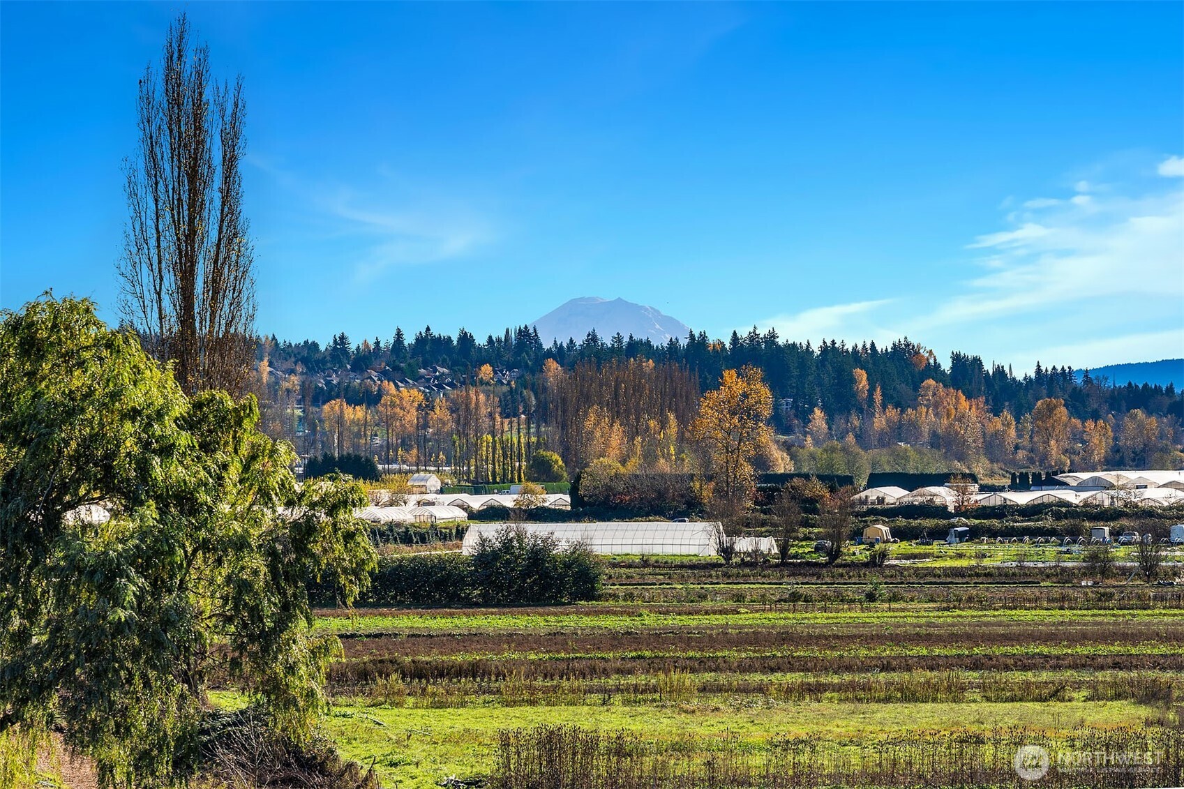 14317 NE 147th Court NE Woodinville WA 98072