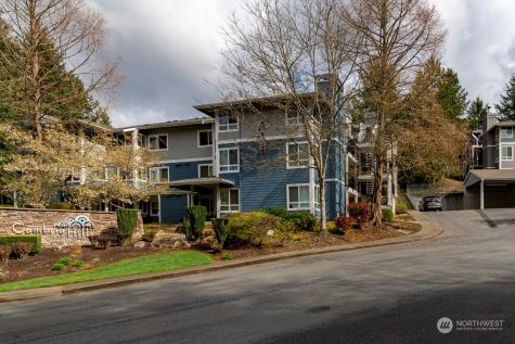 3910 243rd Bothell WA 98021