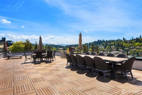 9909 NE 1st Bellevue WA 98004