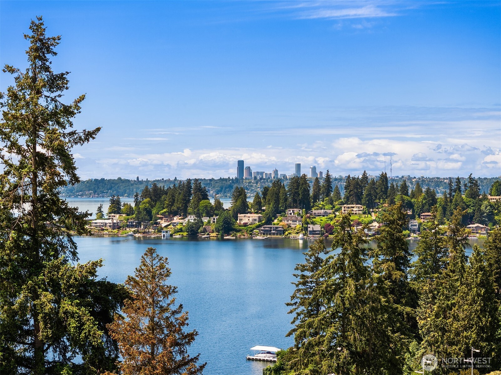 9909 NE 1st Bellevue WA 98004